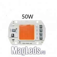 ������������ ���� ������� 50W 220V ������ ������